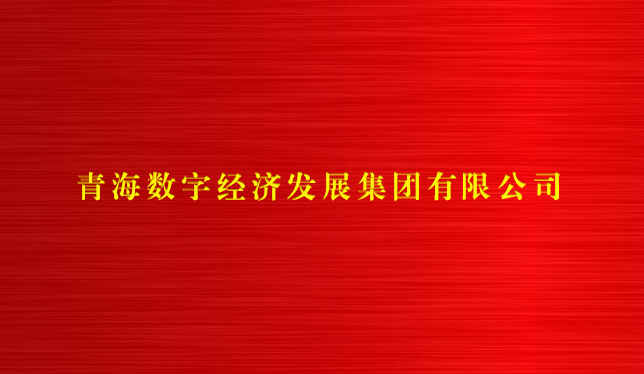 青海數(shù)字經(jīng)濟發(fā)展集團有限公司