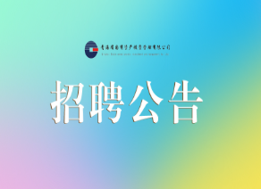 青海省生態(tài)環(huán)保產(chǎn)業(yè)有限公司招聘公告