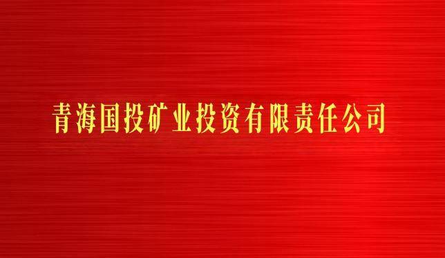 青海國投礦業(yè)投資有限責(zé)任公司