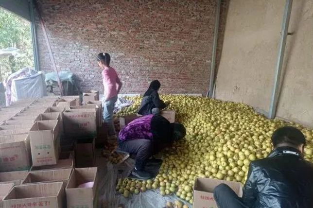 網(wǎng)頁新聞圖片大小模板psd 網(wǎng)頁新聞圖片大小模板psd