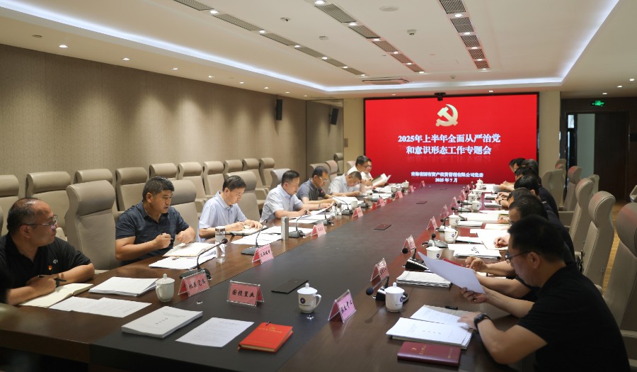 青海國投黨委召開2025年上半年全面從嚴(yán)治黨和意識形態(tài)工作專題會(huì)議