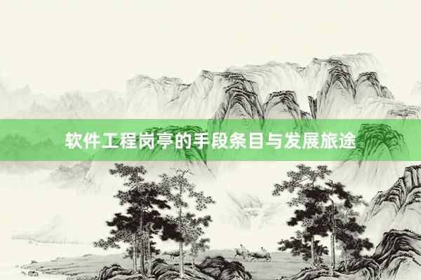 软件工程岗亭的手段条目与发展旅途