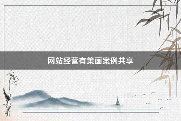 网站经营有策画案例共享